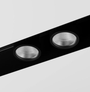 Oprawa systemowa LABRA Neutra System - Moduł x2